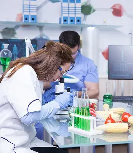 Consultanță în tehnologia alimentară